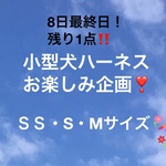 お楽しみ企画❣️