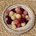 千日紅 ドライフラワー