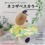 【ネコザベスカラー】超ソフト エリザベスカラー 猫 クリアファイル入り