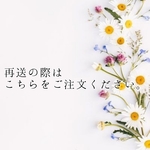 再発送の際はこちらをご注文ください