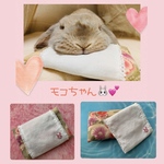【新作】縁編みレースとうさぎ刺繍のカバー付きレトロ柄枕🌷