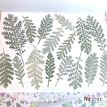 ♡作家様必見♡おしゃれなシルバーレース♡押し花セット♡