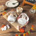 🎃赤ちゃんうさぎのハロウィンパーティー🎃【ネザーランド(フロスティ)】