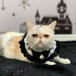 🖤ハロウィンスタイ🖤　ホワイト×ブラック👻　Mサイズ　大人ハロウィン
