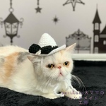 🖤ハロウィンミニハット🖤　ホワイト×ブラック👻　大人ハロウィン