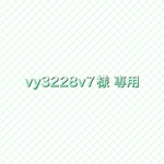 vy3228v7様専用 スマホポーチ 1点