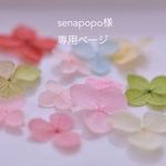 senapopo様　専用ページ