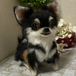 羊毛フェルト　チワワ