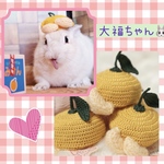 🌸定番商品🌸 【再再販】みかんの帽子