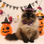 ハロウィンミニハット&シュシュリボンセット🎃