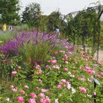 T様🧥ママコーデ、ダッフルコート🧥　〜赤〜