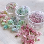 かすみ草*HBスターチス ドライフラワー  