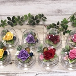 クリアドーム入りプリザーブドフラワー　薔薇　Rose  小さなアレンジ