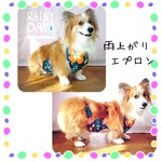 コーギー　雨上がりエプロン＊花柄BLUE
