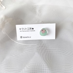 小鳥のピアス（コザクラインコ：赤・緑）
