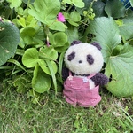 おめかしパンダ＊ギンガムチェックのオーバーオール