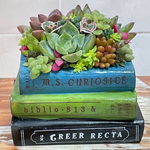 book 寄せ植え