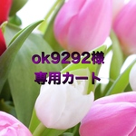 ok9292様専用