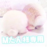Mたん様専用 セット