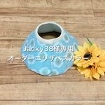 Jacky38様専用☆オーダーエリザベスカラー Ｍサイズ