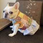 ♡犬服サイズオーダー★レトロパッチワンピース中型犬小型犬フレンチブルドッグパグフレブル服