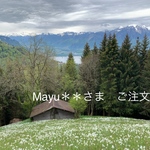 mayu ＊＊　さま　ご注文分です【生理用 パンツ】生理用ふんどしパンツ 布ナプキン付き 浅ばき、深ばき、M、L、 リンパよけショーツ 布ナプキン 下着ストレスフリー mameパンティ  送料込