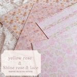 yellow rose ＆ Shine rose 両面印刷  【カウント50枚】