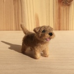 フェルト犬 ノーフォーク・テリア　スマイルさん　<MW444>