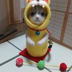 干支の被り物にゃんこ