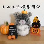まめもち様専用♡