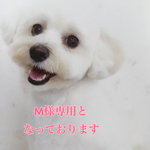 M様専用
