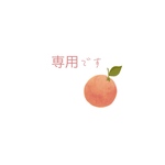 mayjaeg様専用