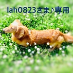 lah0823さま♪専用