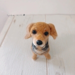 ＊オーダー品＊手乗りうちの子オーダー　グリコちゃん