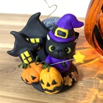 魔法使いの黒猫ちゃん🐈‍⬛コスプレ👻ハロウィン🎃