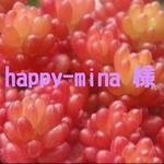happy-mina様専用❤多肉植物❤2点