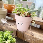 ハンドメイド　テラコッタポット　多肉寄せ植え