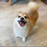 s様専用お直しカート