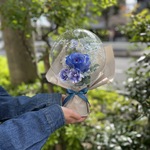 バルーンフラワー　薔薇とサルビア、マリーゴード（ブルー系３種）
