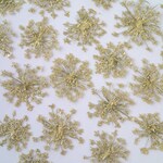 レースフラワーの押し花＜着色ゴールド6枚＞