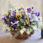 ウインターコスモスとビオラの花束植えバスケットB