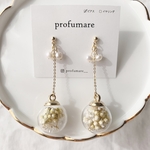 ドライフラワー白緑 ーpierce
