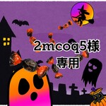 「 2mcoq5様専用 」ページ