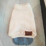 犬服！Msize！パッチワークセーター！デニム重ね着　ラスト