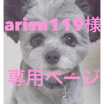 ★arisu119様専用ページ