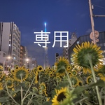 専用