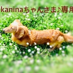 kaninaちゃんさま♪専用