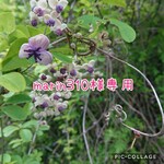 marin310様オーダー品