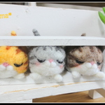 ＊木枠にはまった３匹のねこちゃん＊