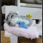 ＊魚を持ったお昼寝ねこちゃん＊